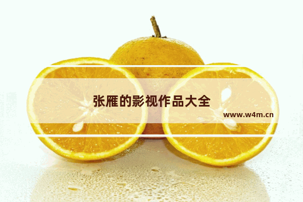 张雁的影视作品大全