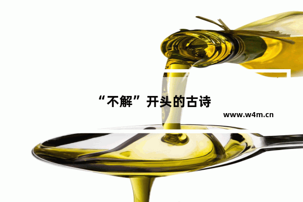 “不解”开头的古诗