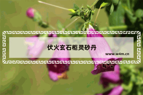 伏火玄石柜灵砂丹