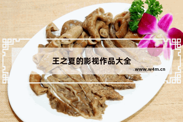 王之夏的影视作品大全