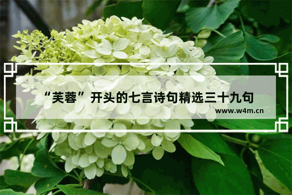 “芙蓉”开头的七言诗句精选三十九句