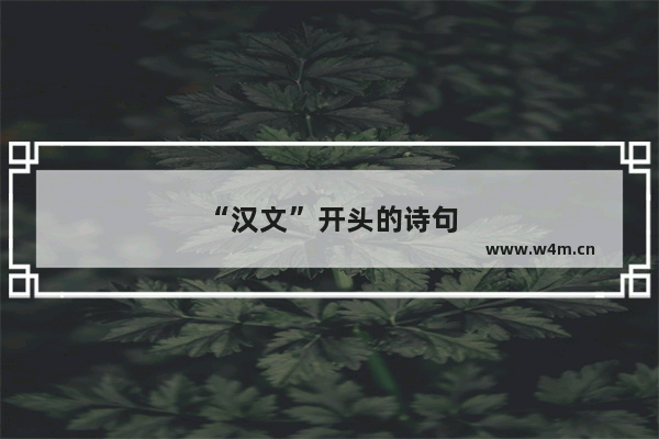 “汉文”开头的诗句