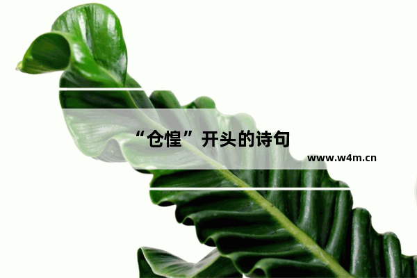 “仓惶”开头的诗句