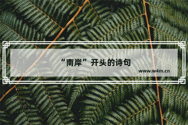 “南岸”开头的诗句