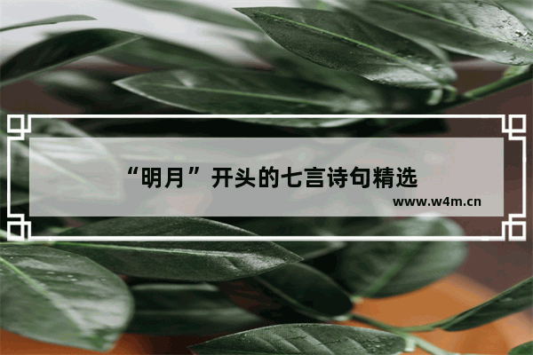 “明月”开头的七言诗句精选