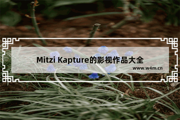 Mitzi Kapture的影视作品大全