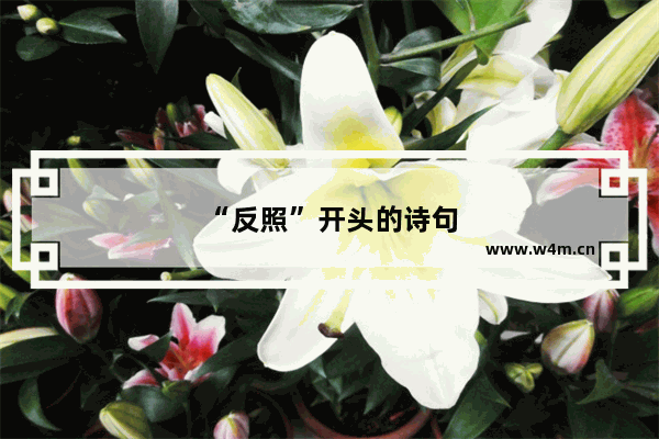 “反照”开头的诗句