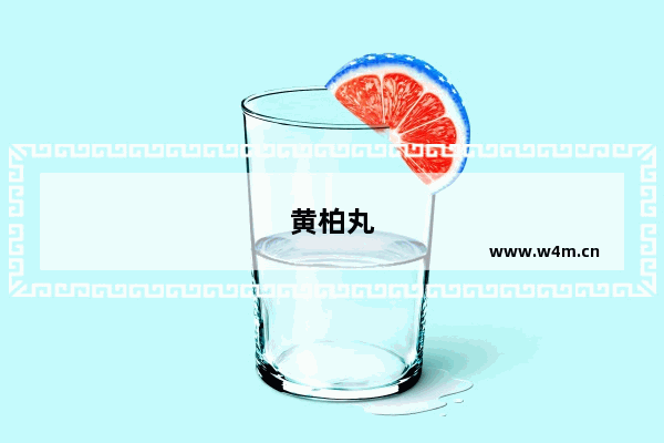 黄柏丸