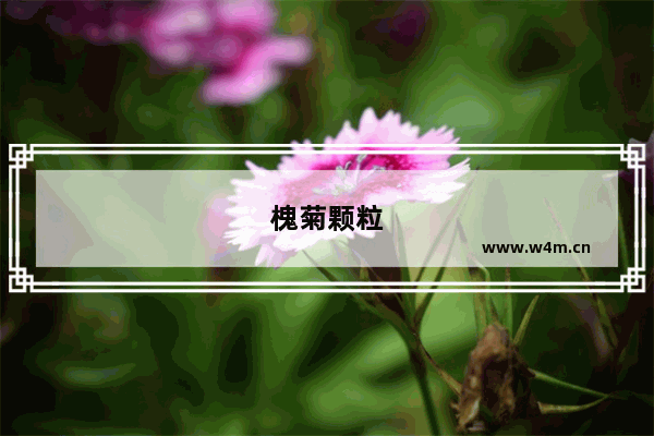 槐菊颗粒