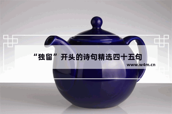 “独留”开头的诗句精选四十五句