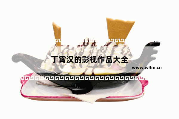 丁霄汉的影视作品大全