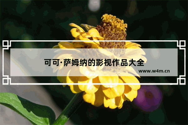 可可·萨姆纳的影视作品大全