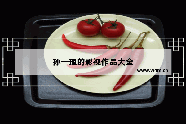 孙一理的影视作品大全