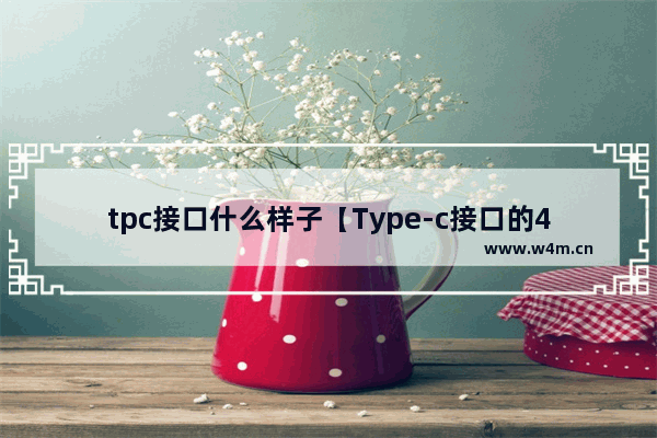 tpc接口什么样子【Type-c接口的4大明显优势】