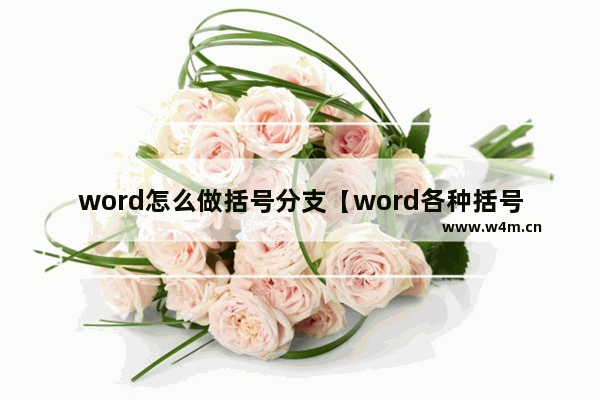 word怎么做括号分支【word各种括号快捷键盘点】