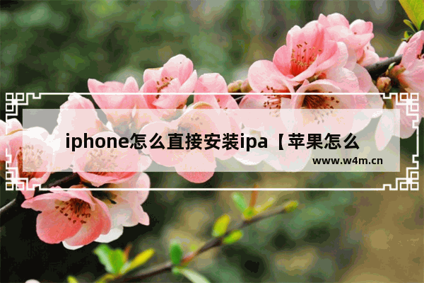 iphone怎么直接安装ipa【苹果怎么安装ipa文件】