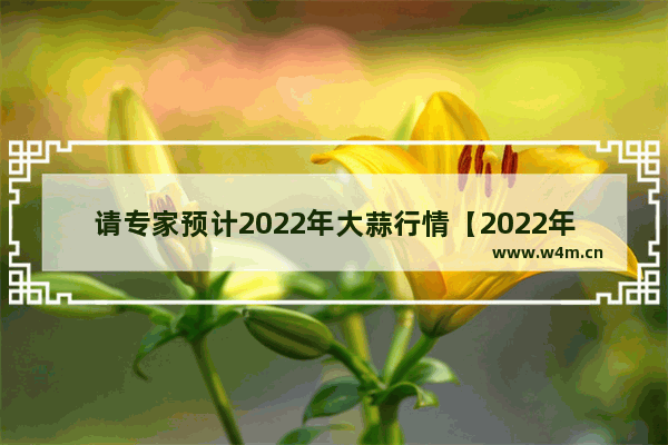 请专家预计2022年大蒜行情【2022年大蒜的供需关系如何】