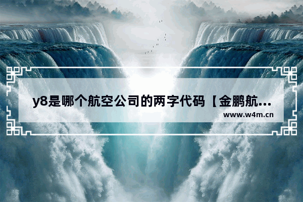 y8是哪个航空公司的两字代码【金鹏航空有限公司简介】