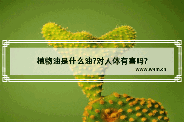 植物油是什么油?对人体有害吗?