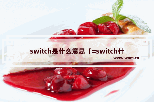 switch是什么意思【=switch什么意思】