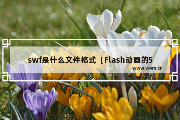 swf是什么文件格式【Flash动画的SWF文件修改工具】