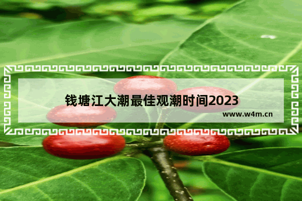 钱塘江大潮最佳观潮时间2023