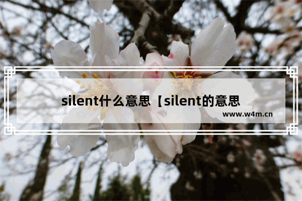 silent什么意思【silent的意思】