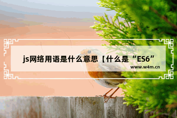 js网络用语是什么意思【什么是“ES6”】