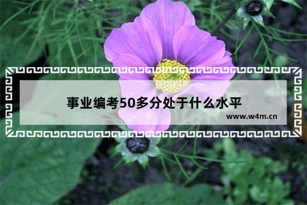 事业编考50多分处于什么水平