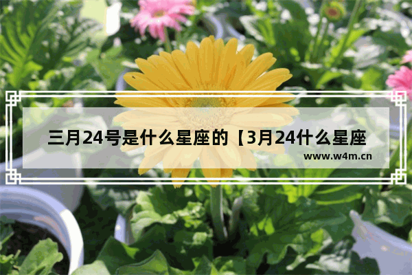 三月24号是什么星座的【3月24什么星座】