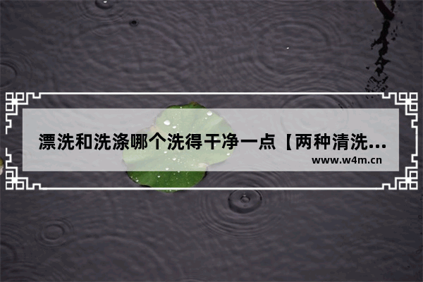 漂洗和洗涤哪个洗得干净一点【两种清洗方式有什么区别】