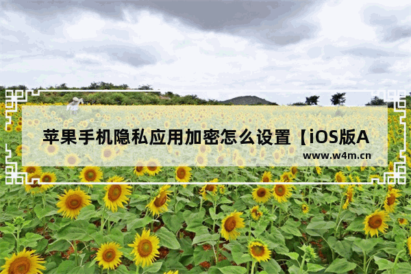 苹果手机隐私应用加密怎么设置【iOS版App上锁方法】