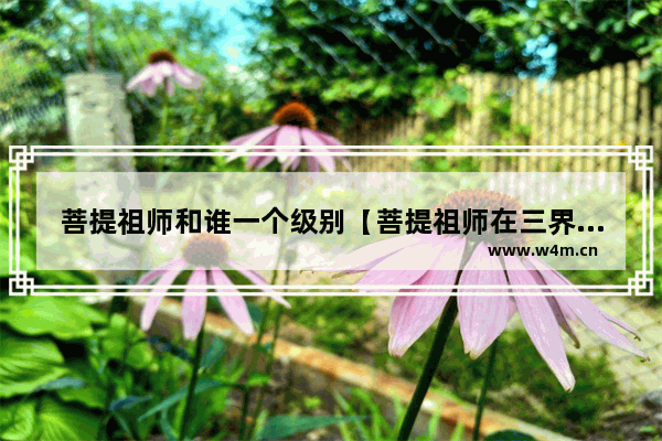 菩提祖师和谁一个级别【菩提祖师在三界中的地位】