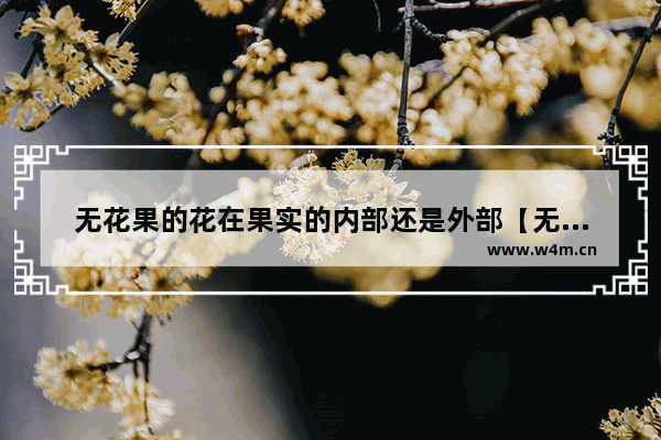 无花果的花在果实的内部还是外部【无花果的花为什么会在果实的内部】