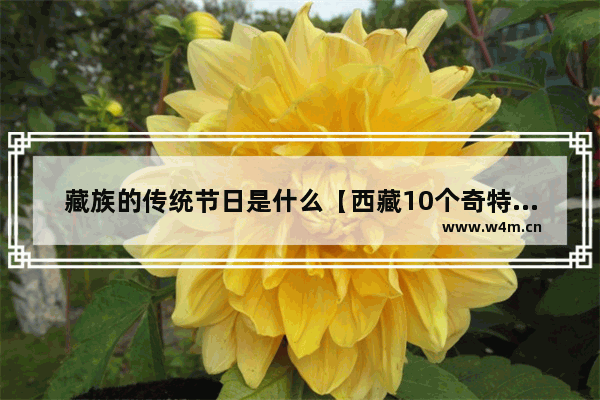 藏族的传统节日是什么【西藏10个奇特有趣的节日】