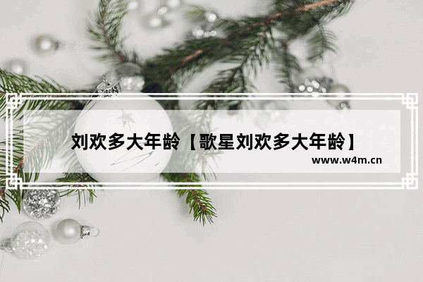 刘欢多大年龄【歌星刘欢多大年龄】