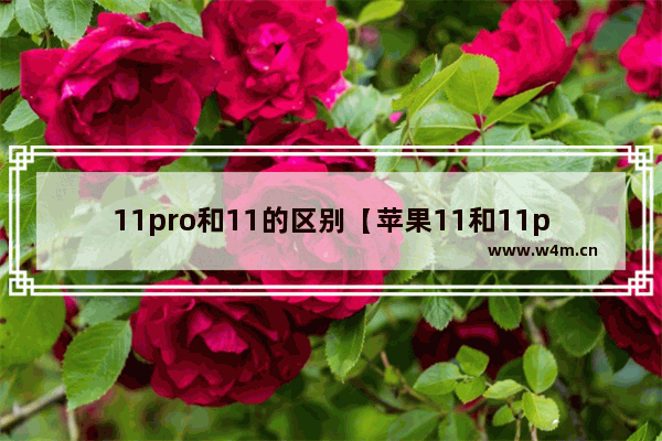 11pro和11的区别【苹果11和11pro的区别】