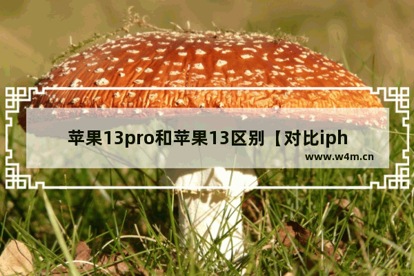 苹果13pro和苹果13区别【对比iphone哪款性价比高】