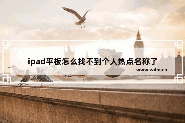 ipad平板怎么找不到个人热点名称了