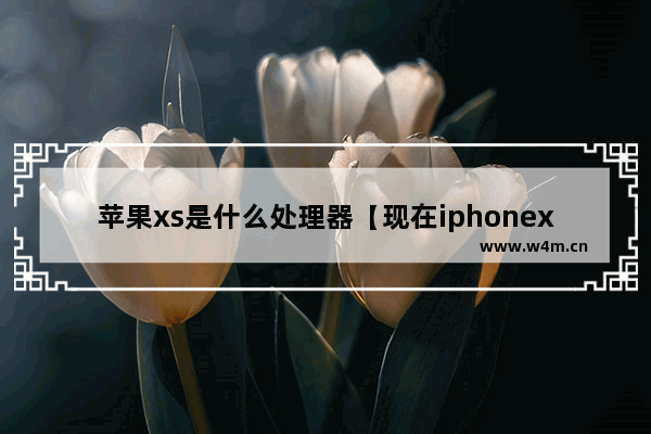 苹果xs是什么处理器【现在iphonexs属于什么价位】