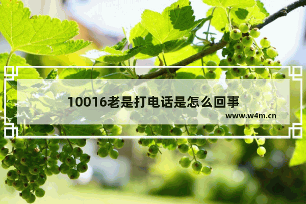 10016老是打电话是怎么回事