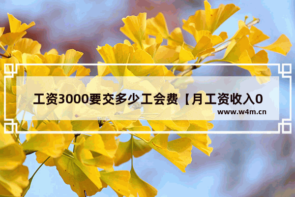 工资3000要交多少工会费【月工资收入0.5%的工会会费】