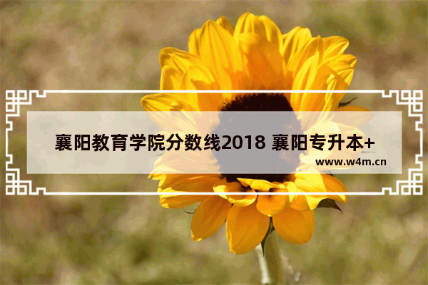 襄阳教育学院分数线2018 襄阳专升本++++分数线