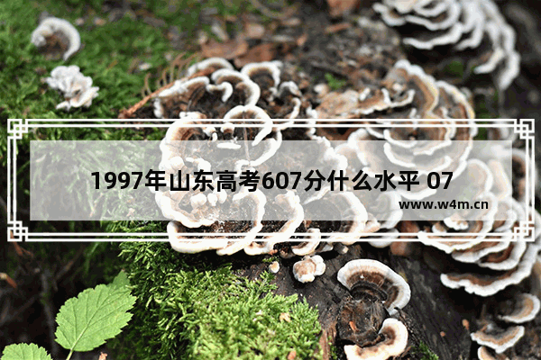 1997年山东高考607分什么水平 07年山东高考分数线排名