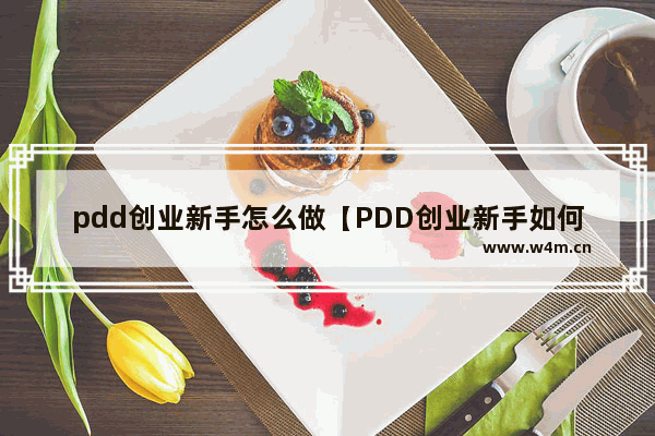 pdd创业新手怎么做【PDD创业新手如何入门】