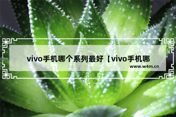 vivo手机哪个系列最好【vivo手机哪个系列最好用性价比高点】