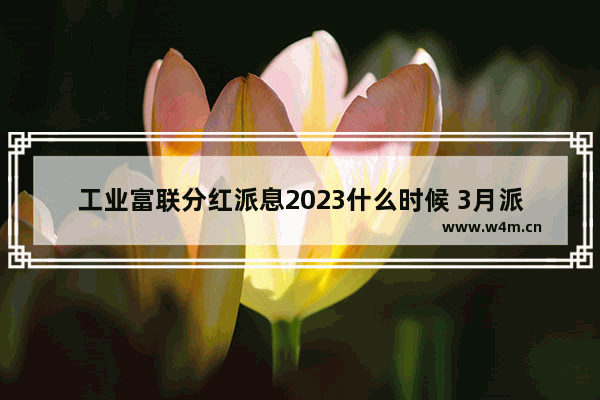 工业富联分红派息2023什么时候 3月派息股票