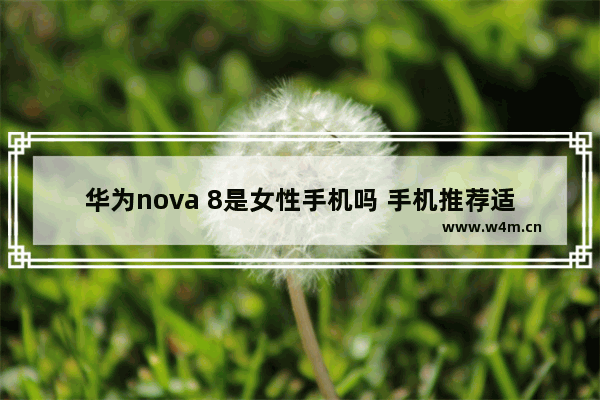 华为nova 8是女性手机吗 手机推荐适合女生高颜值