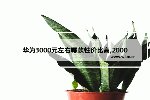 华为3000元左右哪款性价比高,2000到3000性价比最高的华为手机