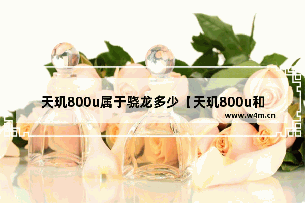 天玑800u属于骁龙多少【天玑800u和骁龙处理器有什么区别】